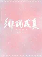 绯闻女孩全集免费观看