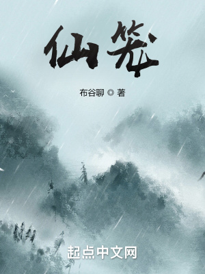 仙笼评价